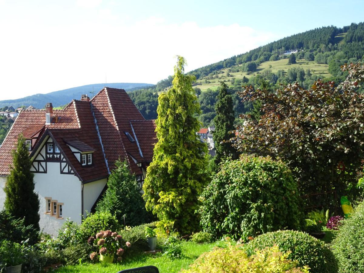 Ferienwohnung Panorama Rauenstein Zewnętrze zdjęcie