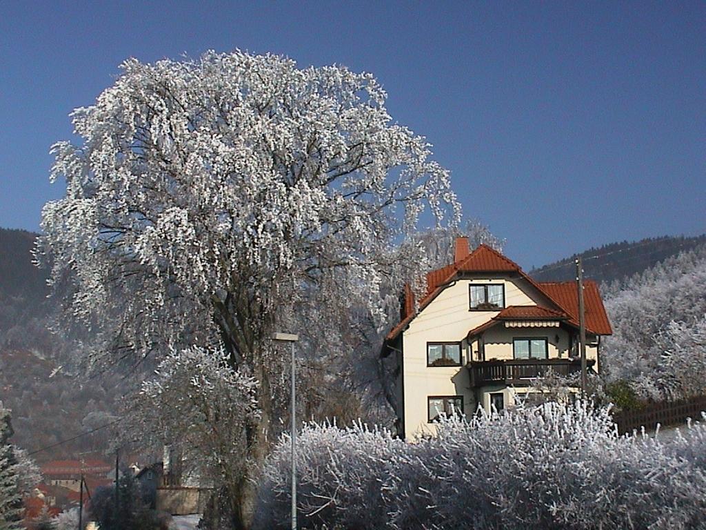 Ferienwohnung Panorama Rauenstein Zewnętrze zdjęcie