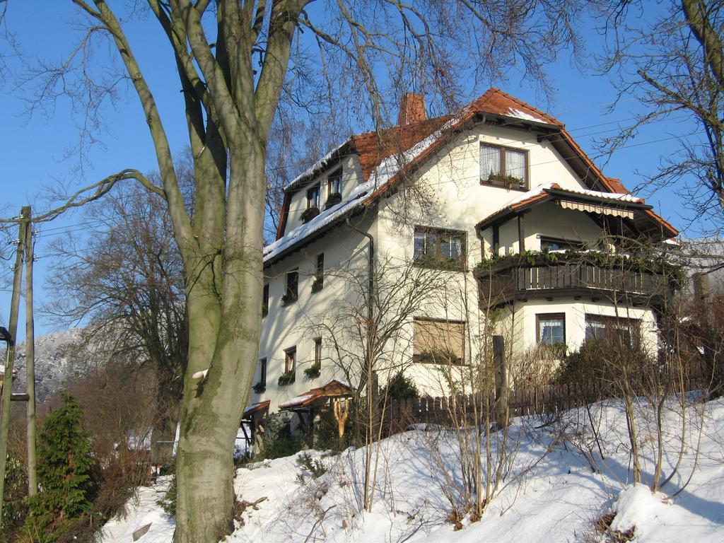 Ferienwohnung Panorama Rauenstein Zewnętrze zdjęcie