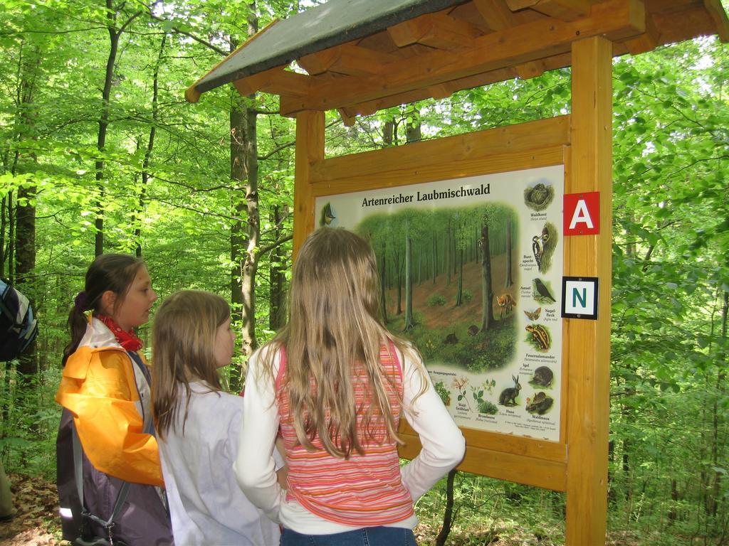 Ferienwohnung Panorama Rauenstein Zewnętrze zdjęcie