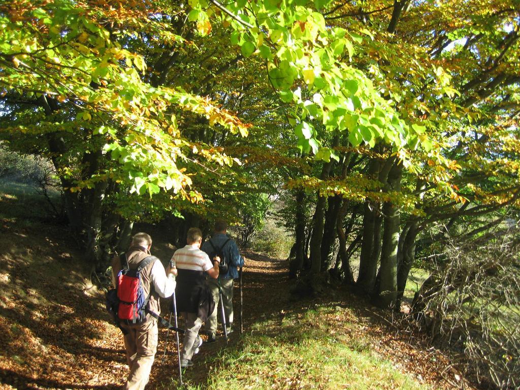 Ferienwohnung Panorama Rauenstein Zewnętrze zdjęcie