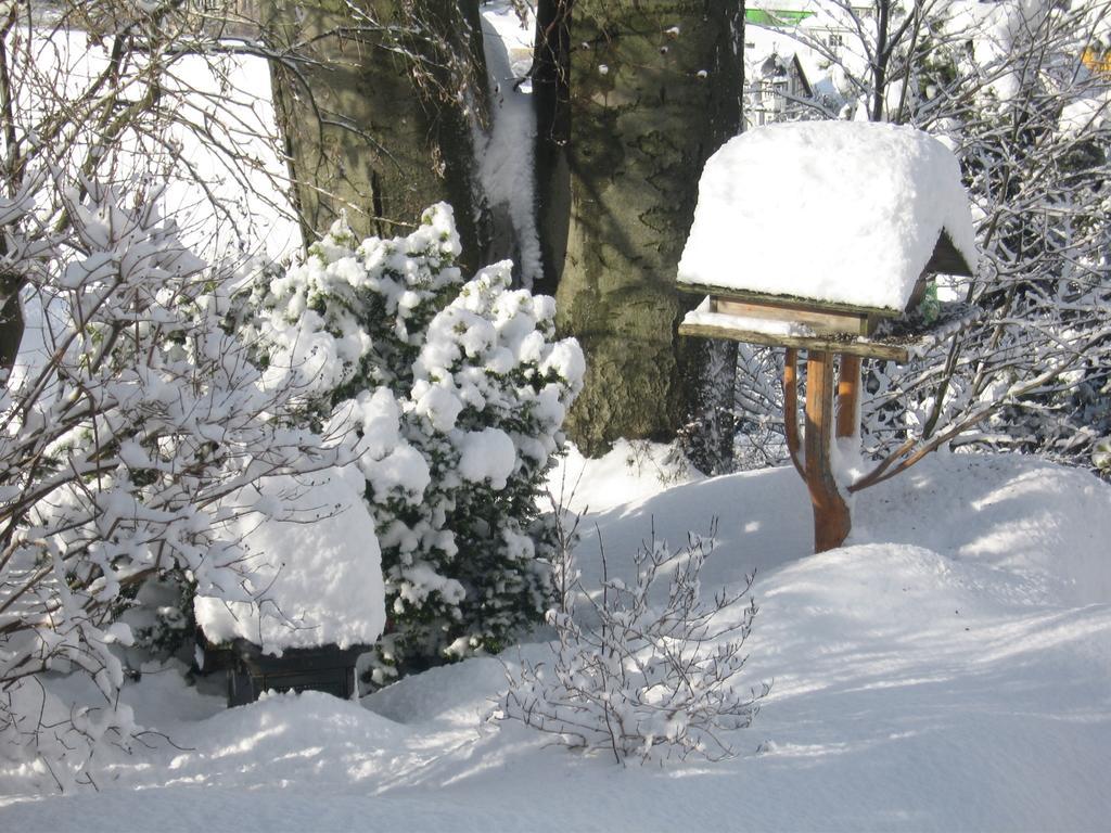 Ferienwohnung Panorama Rauenstein Zewnętrze zdjęcie