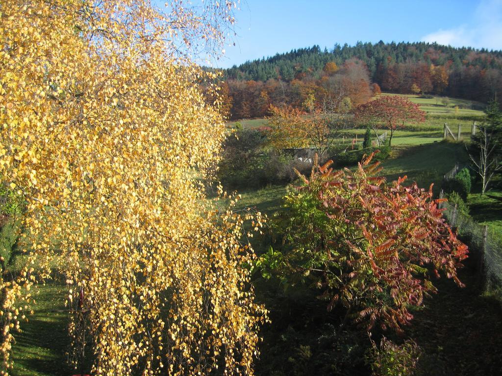 Ferienwohnung Panorama Rauenstein Zewnętrze zdjęcie