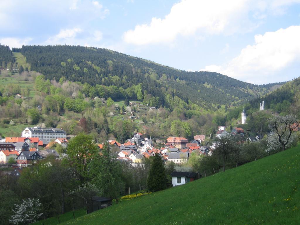 Ferienwohnung Panorama Rauenstein Zewnętrze zdjęcie