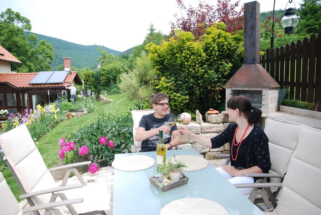 Ferienwohnung Panorama Rauenstein Zewnętrze zdjęcie