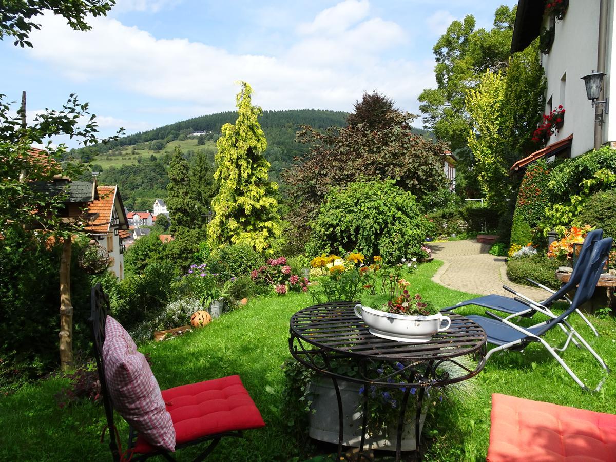 Ferienwohnung Panorama Rauenstein Zewnętrze zdjęcie